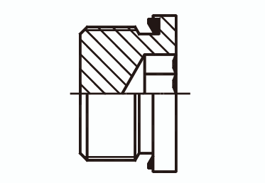 Заглушка (пробка) под шестигранник с уплотнительным кольцом