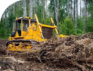 Лесозаготовительной техника